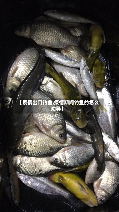 【疫情出门钓鱼,疫情期间钓鱼的怎么劝导】-第2张图片