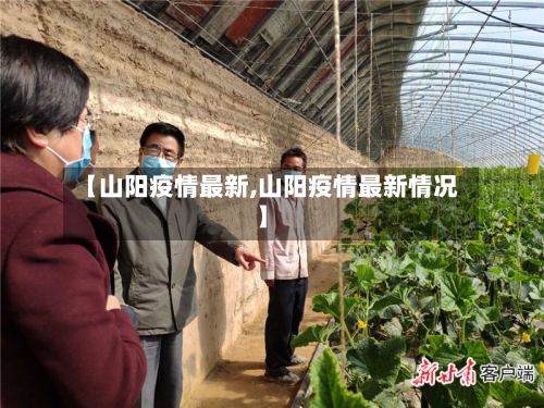 【山阳疫情最新,山阳疫情最新情况】