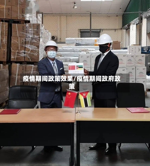 疫情期间政策效果/疫情期间政府政策