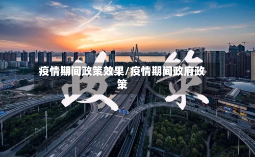 疫情期间政策效果/疫情期间政府政策-第2张图片