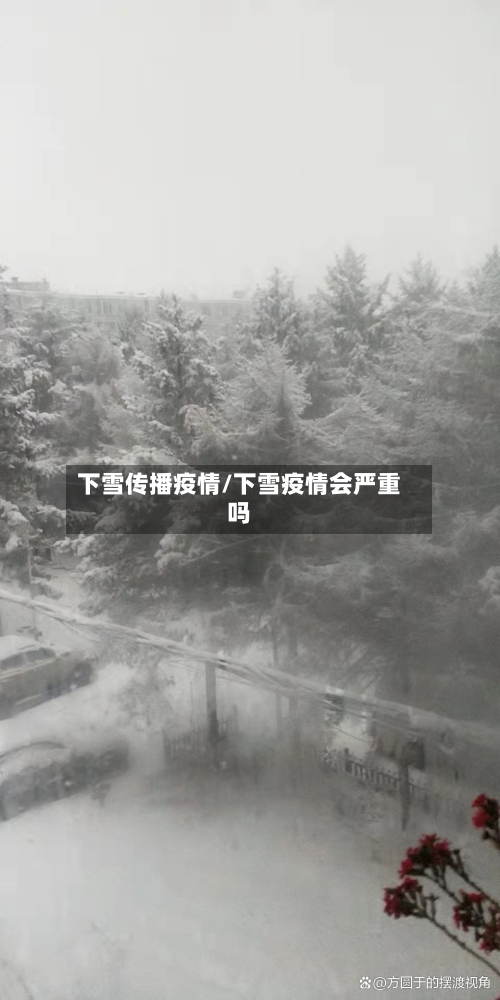 下雪传播疫情/下雪疫情会严重吗-第3张图片