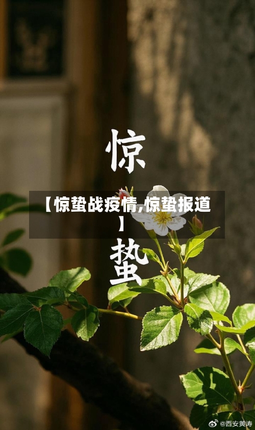 【惊蛰战疫情,惊蛰报道】-第2张图片