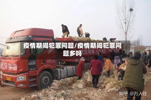 疫情期间犯罪问题/疫情期间犯罪问题多吗