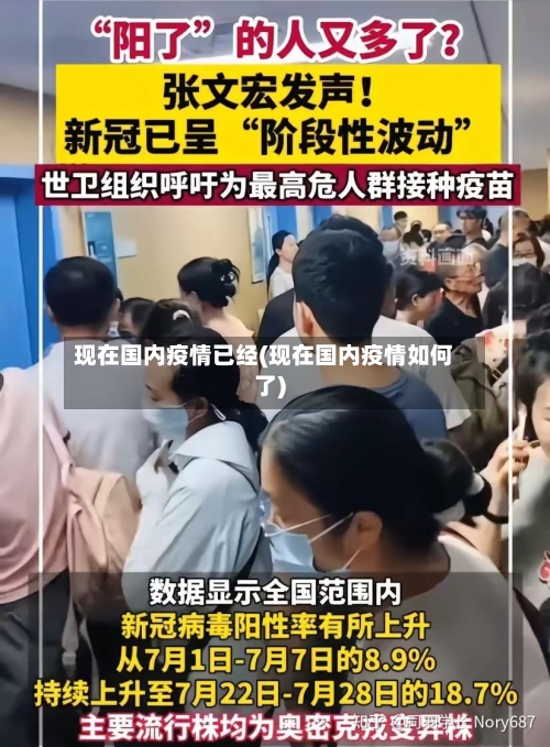 现在国内疫情已经(现在国内疫情如何了)-第2张图片