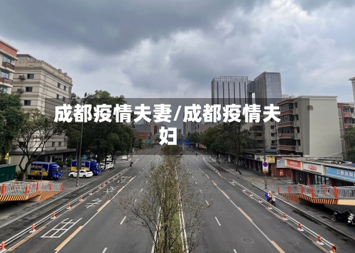 成都疫情夫妻/成都疫情夫妇-第2张图片
