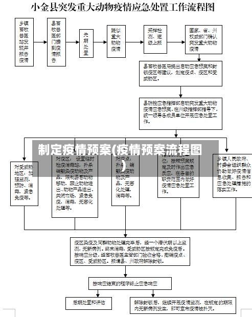 制定疫情预案(疫情预案流程图)