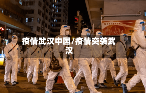 疫情武汉中国/疫情突袭武汉-第2张图片