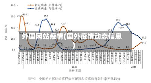 外国网站疫情(国外疫情动态信息)