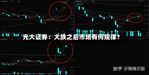 光大证券：大跌之后市场有何规律？