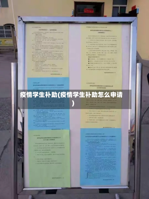 疫情学生补助(疫情学生补助怎么申请)-第2张图片