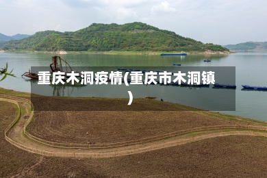 重庆木洞疫情(重庆市木洞镇)-第2张图片