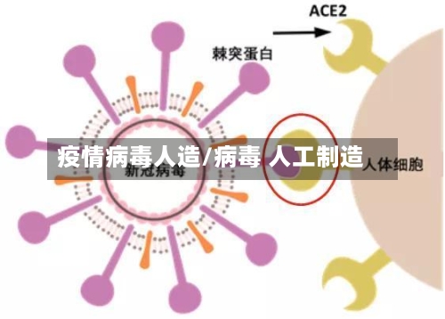 疫情病毒人造/病毒 人工制造