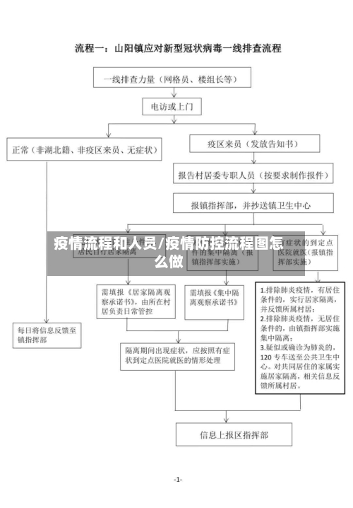 疫情流程和人员/疫情防控流程图怎么做