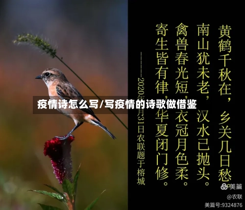 疫情诗怎么写/写疫情的诗歌做借鉴