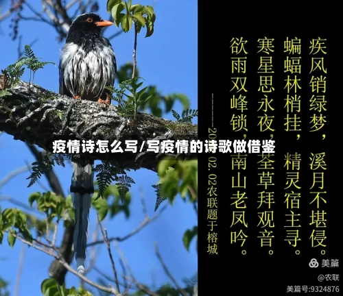 疫情诗怎么写/写疫情的诗歌做借鉴-第2张图片