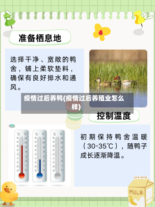 疫情过后养鸭(疫情过后养殖业怎么样)