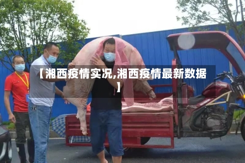 【湘西疫情实况,湘西疫情最新数据】
