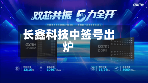 长鑫科技中签号出炉