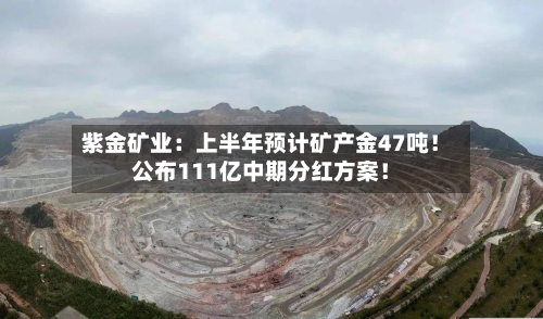 紫金矿业:上半年预计矿产金47吨!公布111亿中期分红方案!-第2张图片
