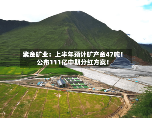 紫金矿业：上半年预计矿产金47吨！公布111亿中期分红方案！
