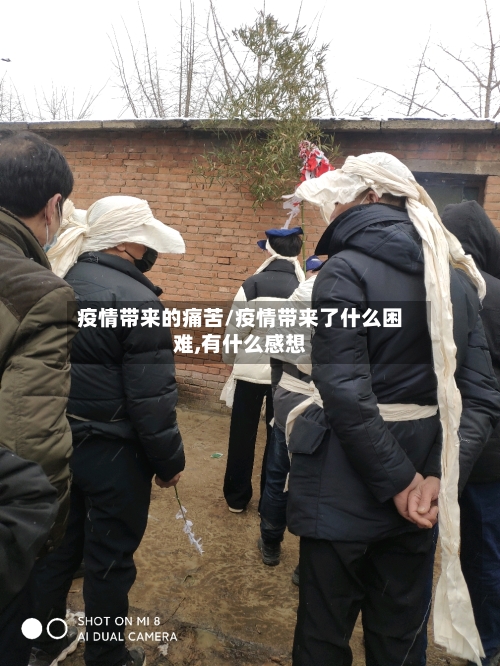疫情带来的痛苦/疫情带来了什么困难,有什么感想-第2张图片