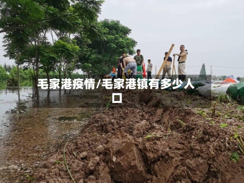 毛家港疫情/毛家港镇有多少人口