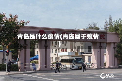 青岛是什么疫情(青岛属于疫情)-第2张图片