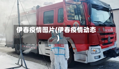 伊春疫情图片(伊春疫情动态)-第2张图片