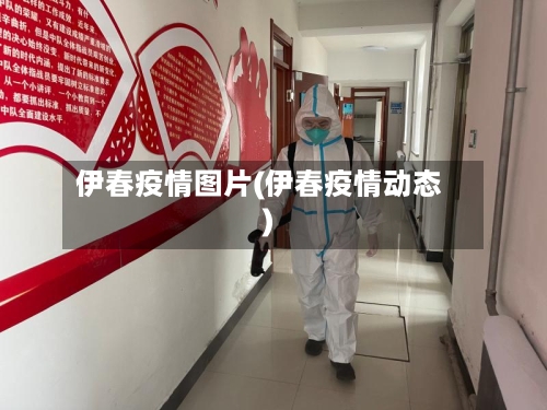 伊春疫情图片(伊春疫情动态)