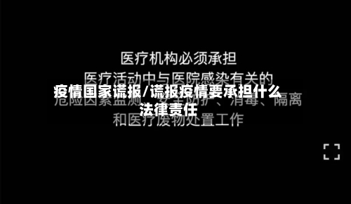 疫情国家谎报/谎报疫情要承担什么法律责任