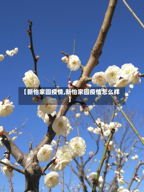 【新怡家园疫情,新怡家园疫情怎么样】