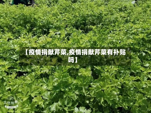 【疫情捐献芹菜,疫情捐献芹菜有补贴吗】