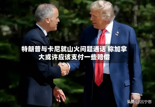 特朗普与卡尼就山火问题通话 称加拿大或许应该支付一些赔偿-第3张图片