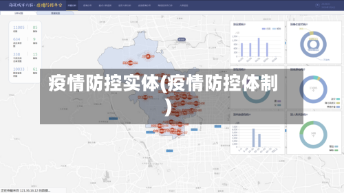 疫情防控实体(疫情防控体制)-第3张图片