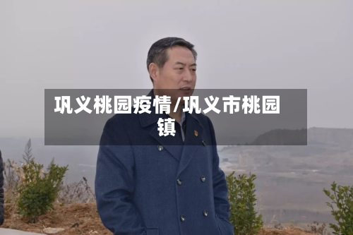 巩义桃园疫情/巩义市桃园镇