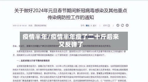 疫情半年/疫情半年瘦了二十斤后来又反弹了-第3张图片