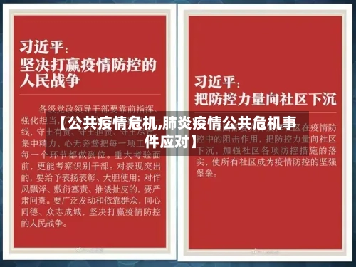 【公共疫情危机,肺炎疫情公共危机事件应对】