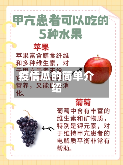 疫情瓜的简单介绍