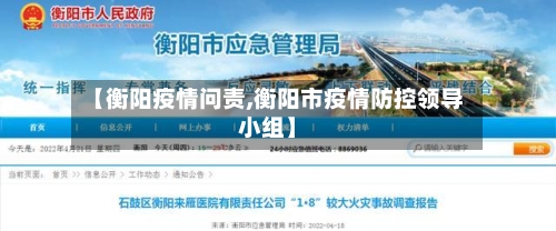 【衡阳疫情问责,衡阳市疫情防控领导小组】