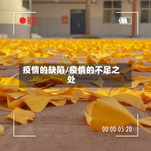 疫情的缺陷/疫情的不足之处