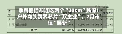 净利翻倍却连吃两个“20cm”跌停！户外龙头跨界芯片“双主业	”，7月市值“腰斩”-第2张图片