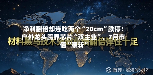 净利翻倍却连吃两个“20cm”跌停！户外龙头跨界芯片“双主业	”	，7月市值“腰斩”-第3张图片