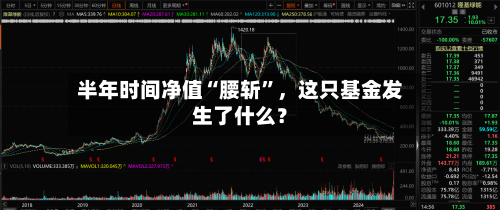 半年时间净值“腰斩”	，这只基金发生了什么？-第2张图片