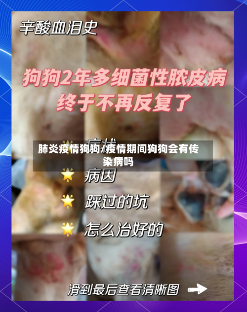 肺炎疫情狗狗/疫情期间狗狗会有传染病吗-第3张图片