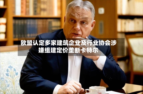欧盟认定多家建筑企业及行业协会涉嫌组建定价垄断卡特尔-第3张图片