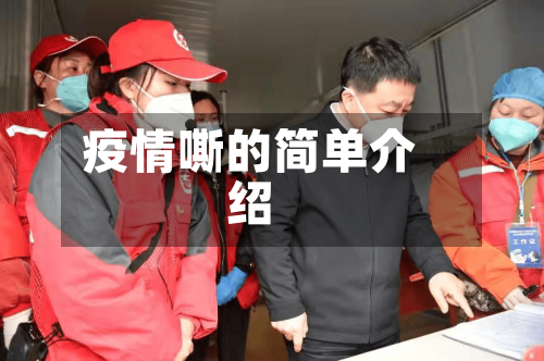 疫情嘶的简单介绍