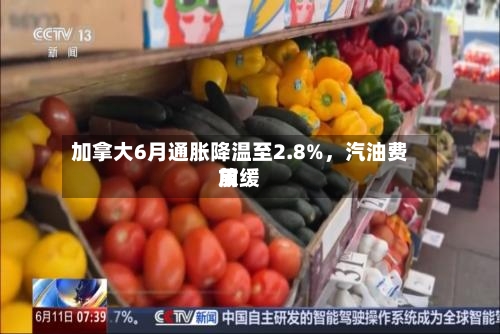 加拿大6月通胀降温至2.8%，汽油费用放缓-第2张图片