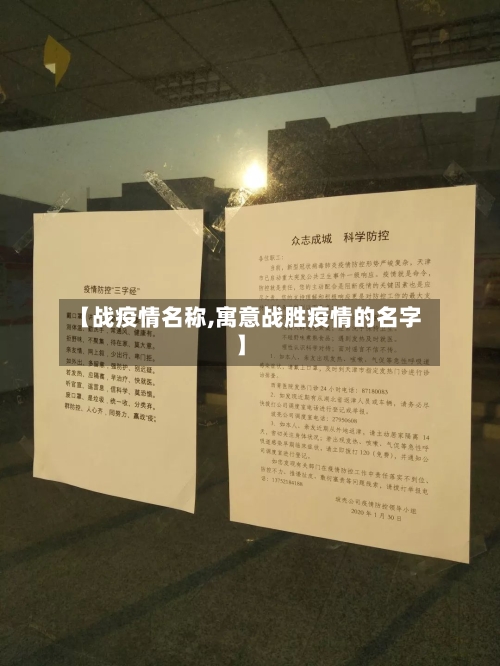 【战疫情名称,寓意战胜疫情的名字】-第3张图片