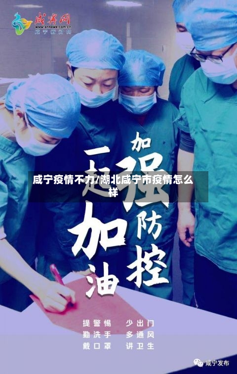咸宁疫情不力/湖北咸宁市疫情怎么样