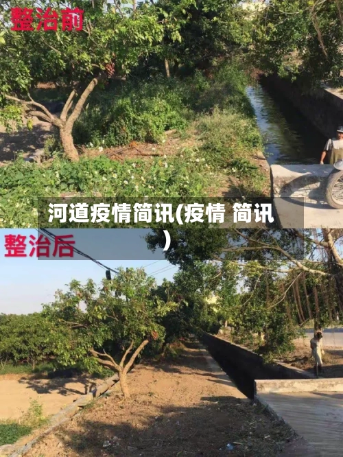 河道疫情简讯(疫情 简讯)-第2张图片